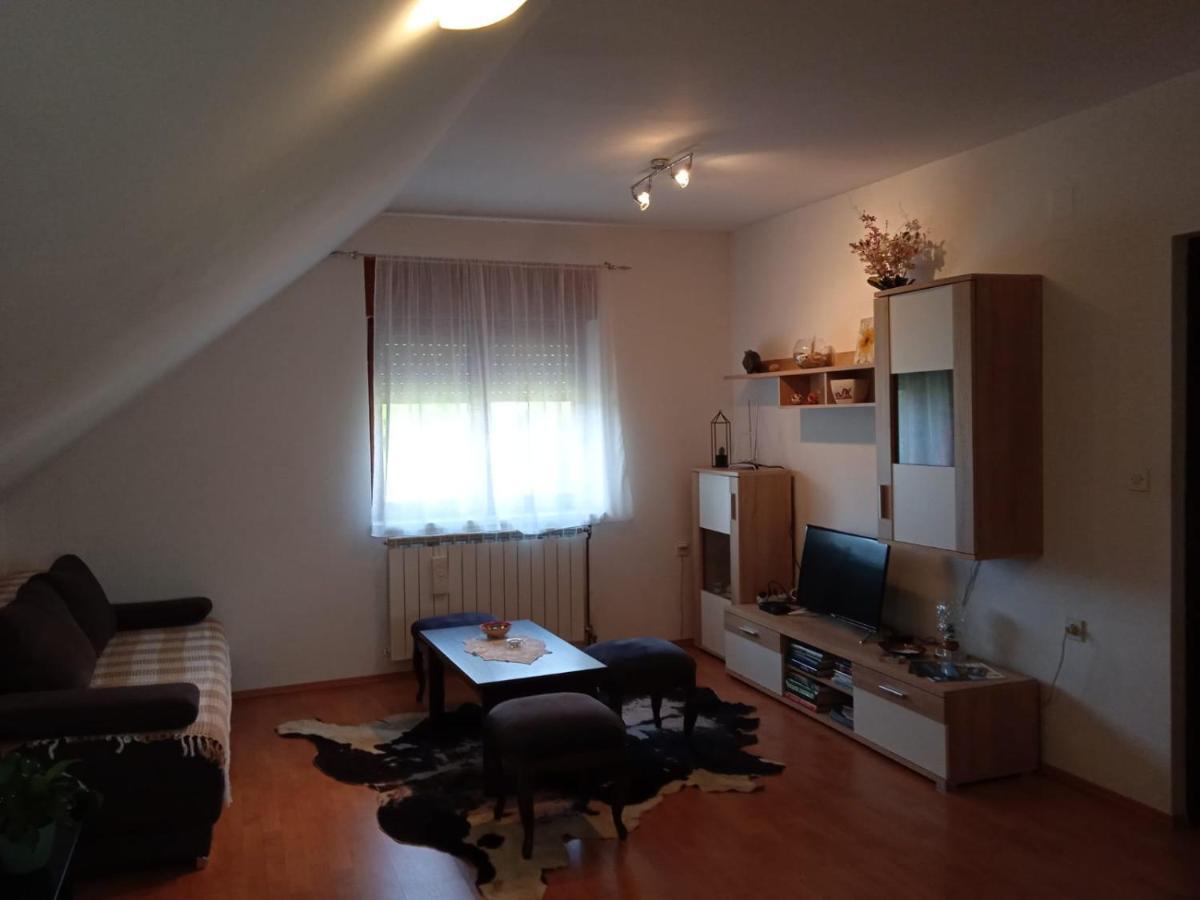 Apartman Skender 3* Ravna Gora Exterior foto