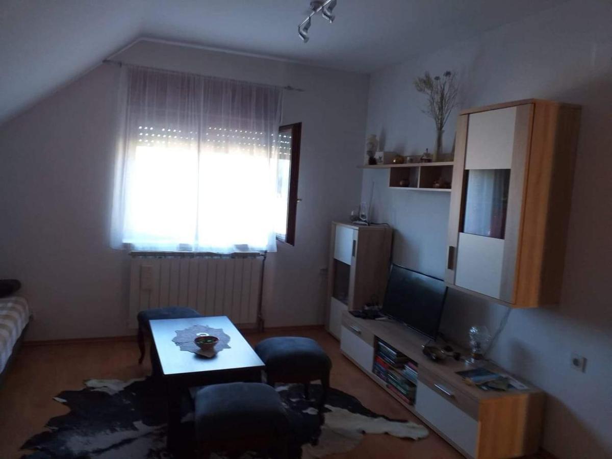 Apartman Skender 3* Ravna Gora Exterior foto