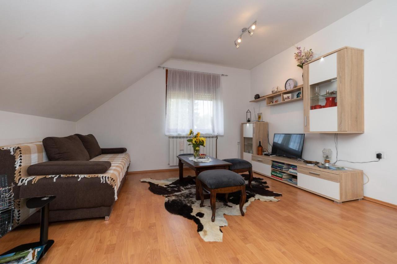 Apartman Skender 3* Ravna Gora Exterior foto