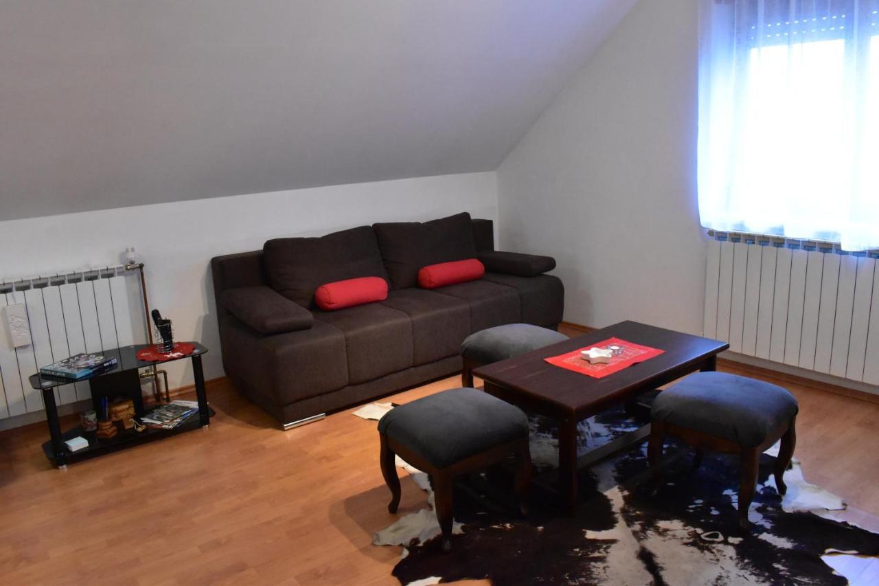 Apartman Skender 3* Ravna Gora Exterior foto