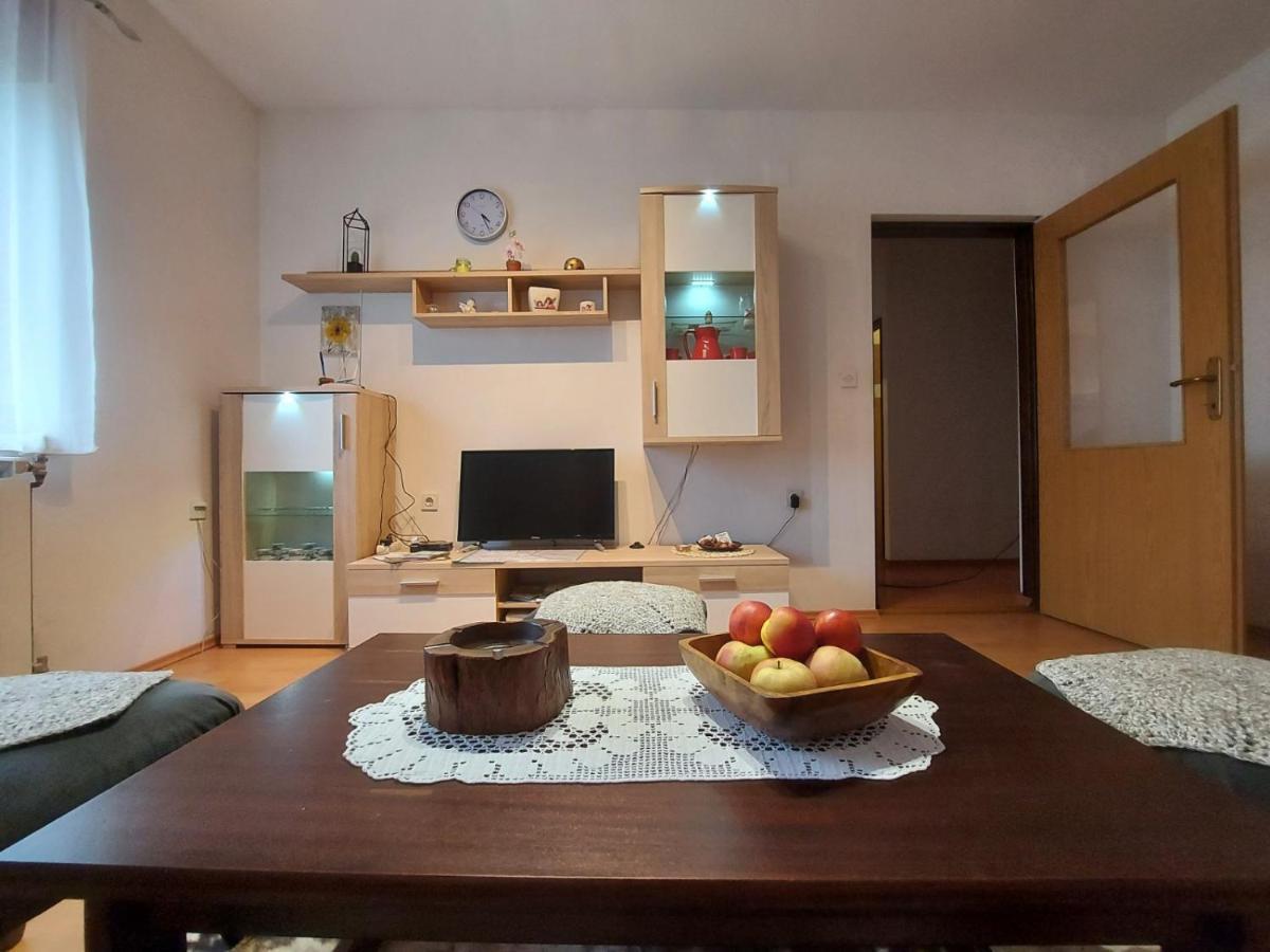 Apartman Skender 3* Ravna Gora Exterior foto